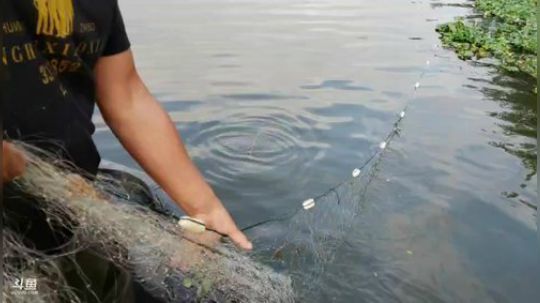 大河大网大鱼! 2019-10-13 15点场