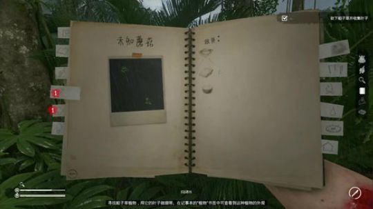 【坤哲游戏室】绿色地狱开个荒 2019-10-09 15点场