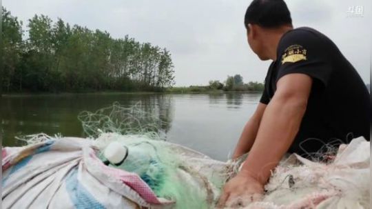 大河大网大鱼! 2019-10-13 11点场