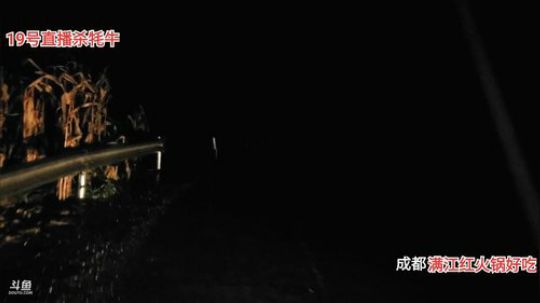 镇里伙伴深夜食堂(≧ω≦)/ 2019-10-16 23点场