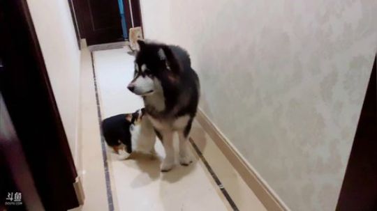 酒店开业啦 2019-10-17 12点场