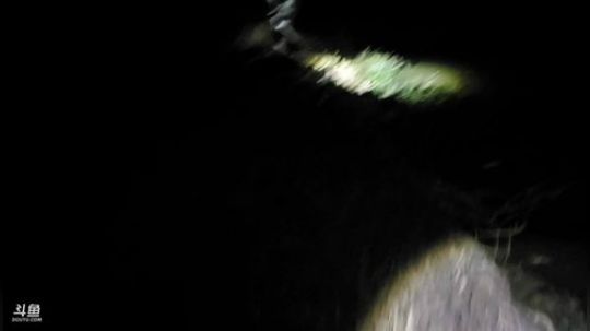 钓麻鳝，充能搞起！ 2019-10-13 22点场