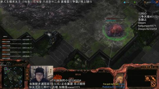 钻石狗 狗钻石 2019-10-17 00点场