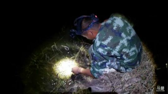 钓麻鳝，充能搞起！ 2019-10-13 19点场