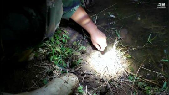 钓麻鳝，充能搞起！ 2019-10-13 20点场