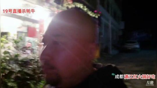 早上9点开始杀牦牛 2019-10-18 22点场