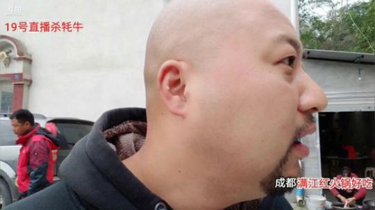 早上9点开始杀牦牛 2019-10-19 08点场