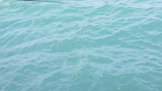 哆啦爱梦梦发布了一个斗鱼视频2019-10-19