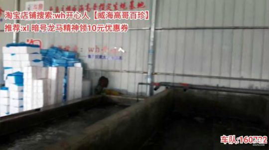 科头溜子发布了一个斗鱼视频2019-10-19