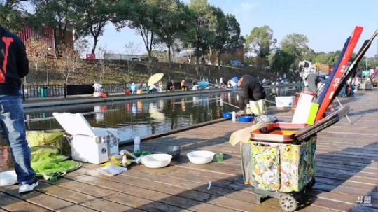 洈水钓鱼比赛开始啦 2019-10-20 07点场