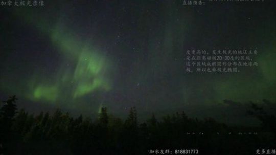 户外遛狗王飞哥发布了一个斗鱼视频2019-10-21