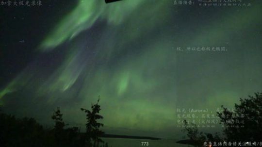 护法惊丶发布了一个斗鱼视频2019-10-21