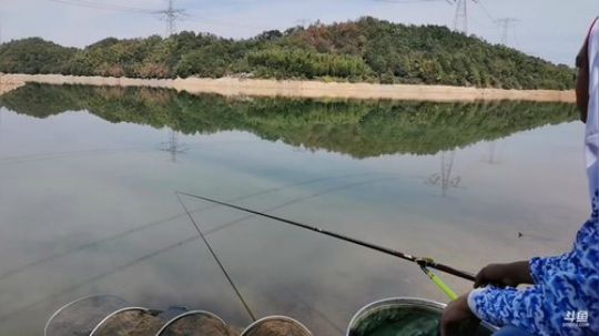 中华户外钓鱼 2019-10-21 12点场