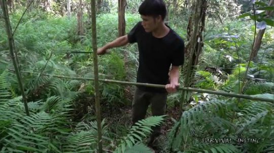 【丛林生存】2. 寻找建造小屋