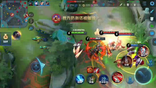 白锋阿珂