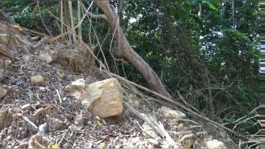 【丛林生存】1. 如何用干竹生火