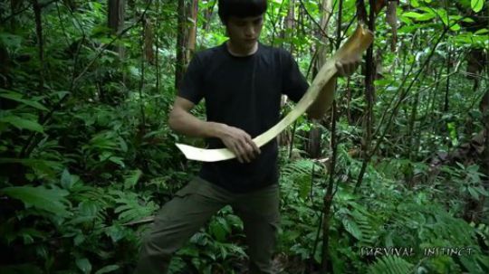 【丛林生存】13. 如何制作弓箭