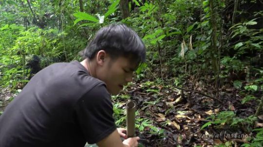 【丛林生存】18. 找到新的庇护所