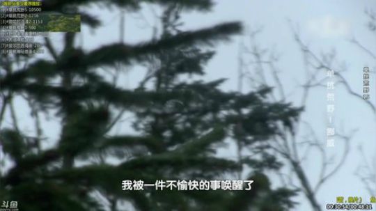 护法惊丶发布了一个斗鱼视频2019-10-22