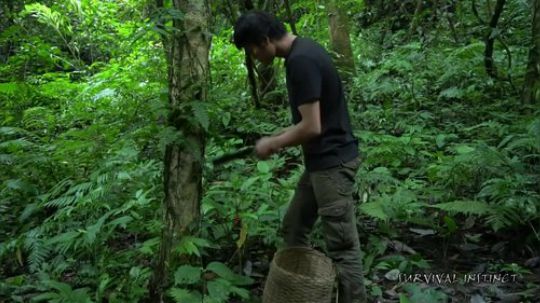 【丛林生存】15. 鸟儿陷阱.