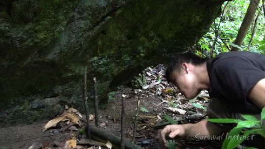 【丛林生存】19. 如何制造有效的陷阱