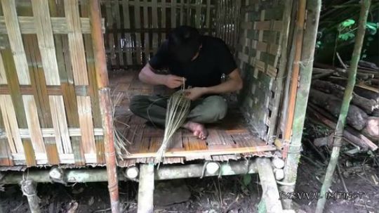 【丛林生存】9. 如何在溪流中捕鱼