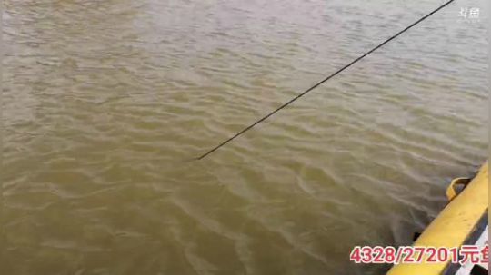 科头溜子发布了一个斗鱼视频2019-10-22