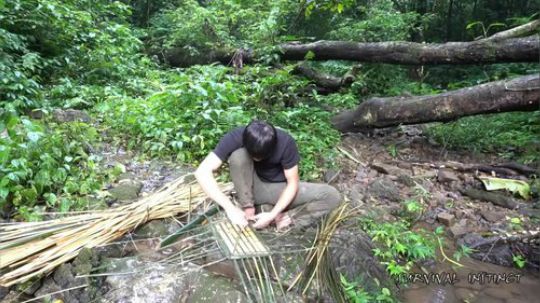 【丛林生存】14. 木炭储量