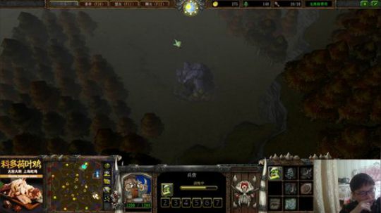 我在斗鱼看大帝LioN直播魔兽争霸