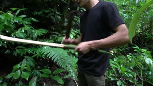 【丛林生存】7. 不可预测的威胁