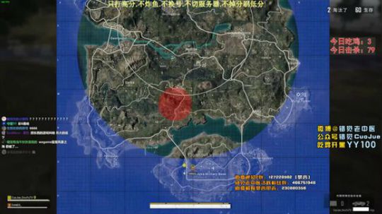 【错觉】双排10杀吃鸡
