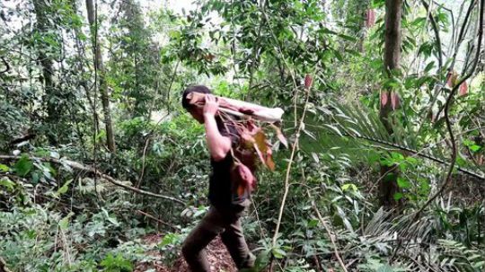 【丛林生存】24. 杯子和蔬菜