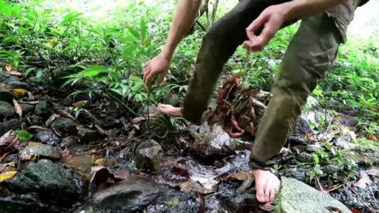 【丛林生存】30. 捕猎和烹调