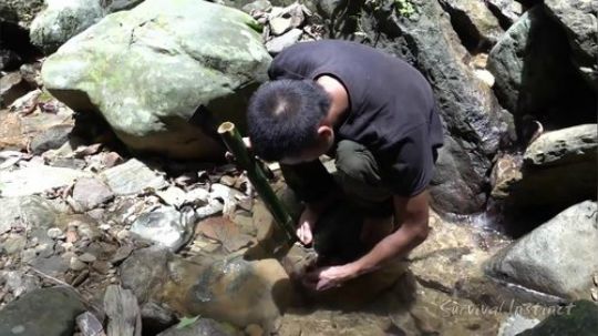 【丛林生存】39. 捕猎和烹调