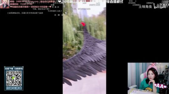 藤一的小幸运发布了一个斗鱼视频2019-10-23