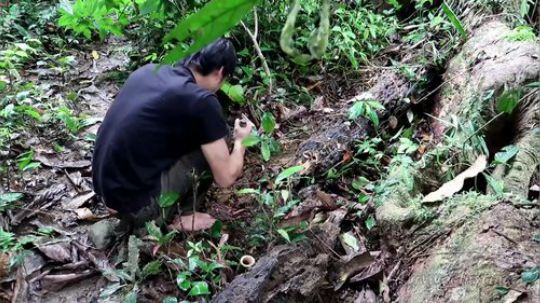 【丛林生存】25. 原始捕鱼