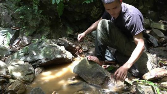 【丛林生存】37. 如何引诱河蟹