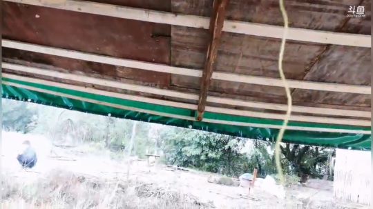 哆啦爱梦梦发布了一个斗鱼视频2019-10-23