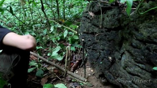 【丛林生存】23. 家具和陷阱