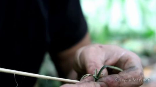 【丛林生存】33. 陷阱和烧烤