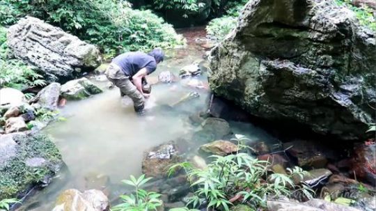 【丛林生存】32. 溪流中的泳池