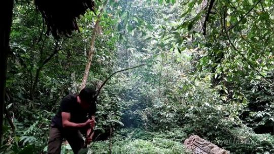 【丛林生存】26. 完美的捕鱼器