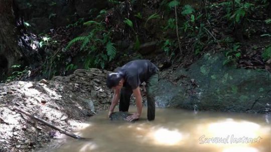 【丛林生存】46. 露天游泳池