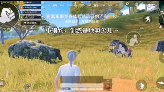 我叫豹小欠