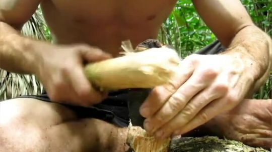 【原始技术合集】澳洲小哥徒手建造 6、两年前造的石锛