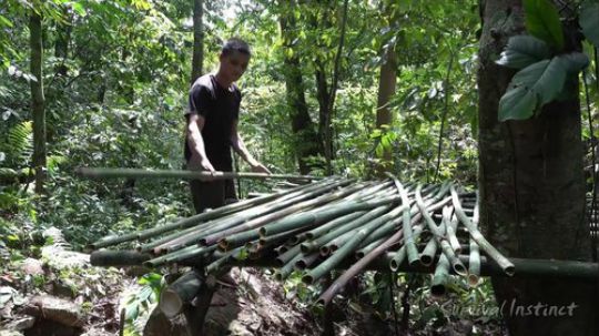 【丛林生存】42. 建造美丽的秘密小屋