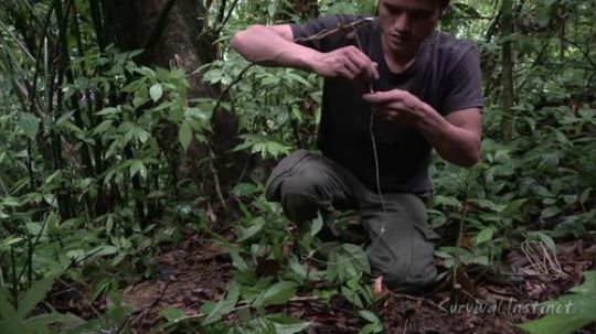 【丛林生存】51. 如何制作陷阱