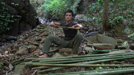 【丛林生存】56. 小屋的储存和整理