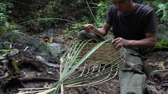 【丛林生存】52. 编篮子和收获种子