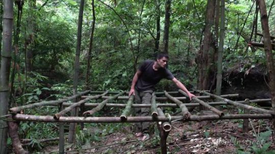 【丛林生存】53. 漂亮的小屋